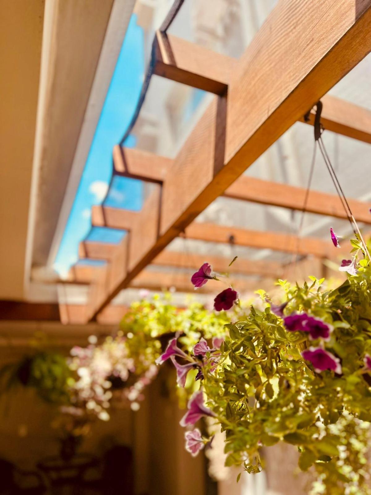 Skalla Hotel نوفا أوديسا المظهر الخارجي الصورة